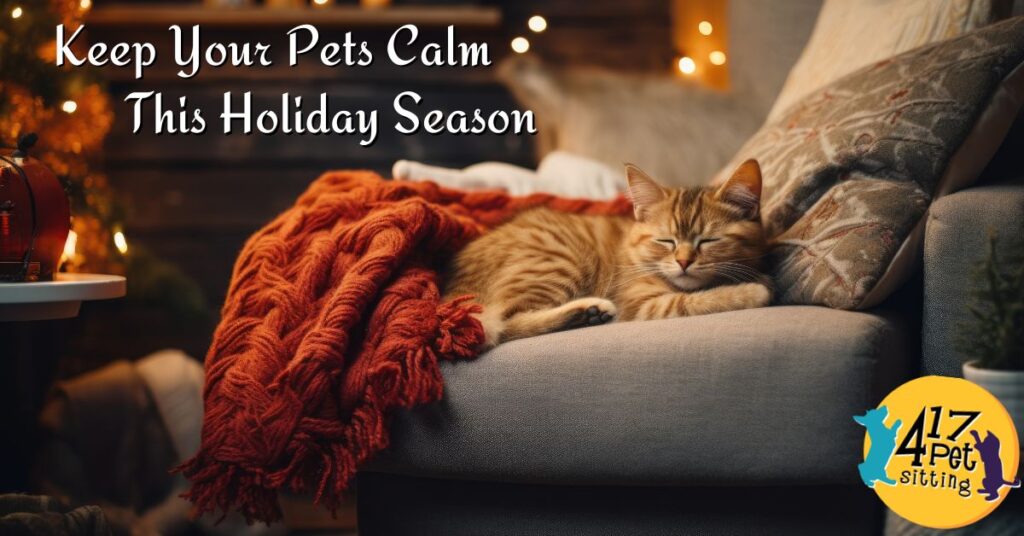 Keep Pets Calm During Winter Holidays