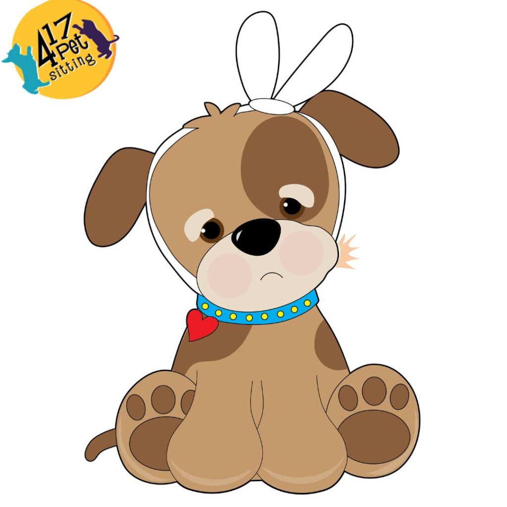 Does Your Pet Have a Toothache?