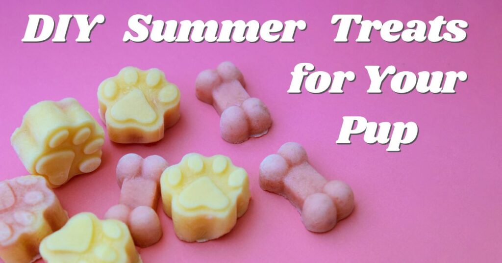Favorite DIY Summer Dog Treats