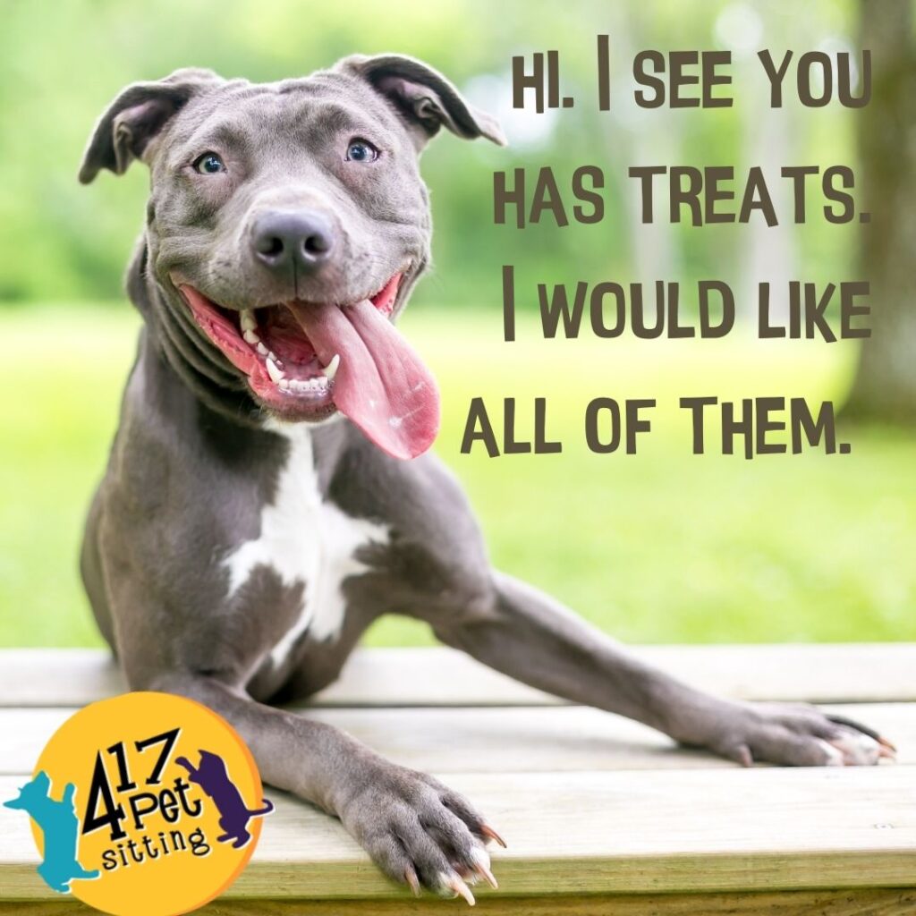 Peanut Butter Dog Treats Recipe