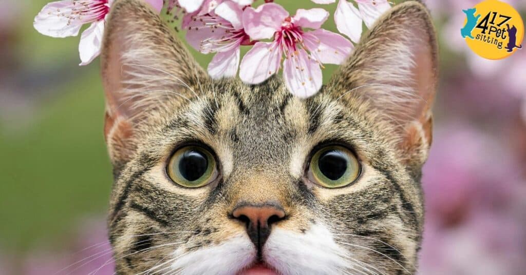 Spring into Pet Safety