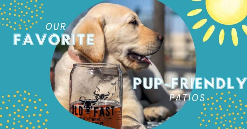5 Favorite Pup-Friendly Patios in 417 Land