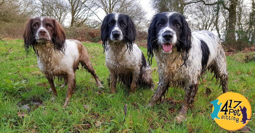 Mud Season Survival Guide