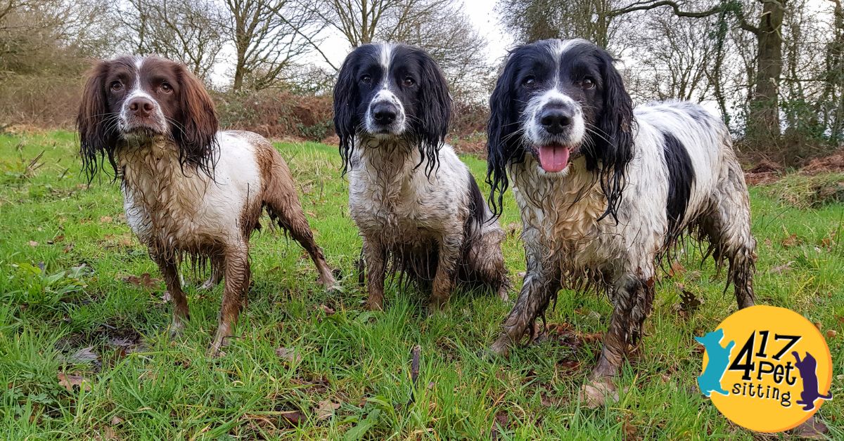 Mud Season Survival Guide